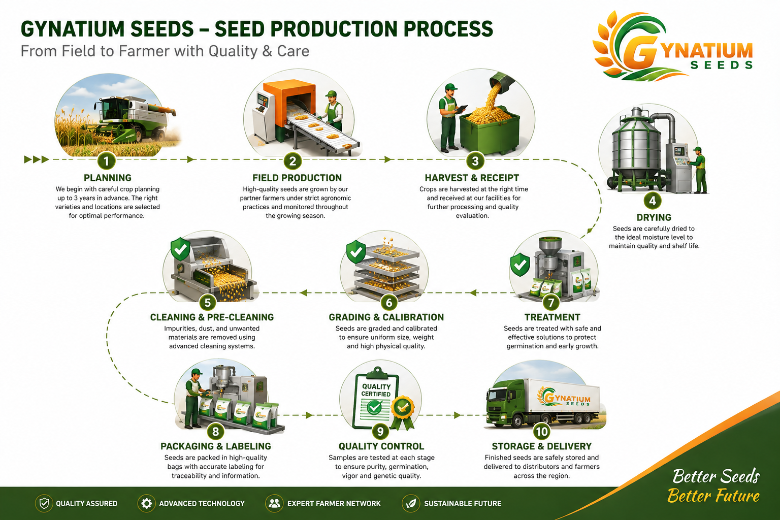 Gynacem Seeds seed production process showing ten stages from crop planning and field production through harvesting, drying, cleaning, grading, treatment, packaging, quality control, storage, and delivery.